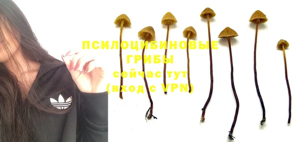 стафф Белоозёрский