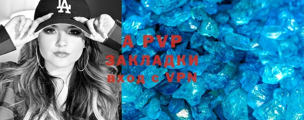 индика Баксан