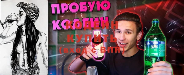 индика Баксан