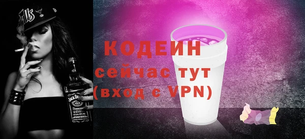 индика Баксан