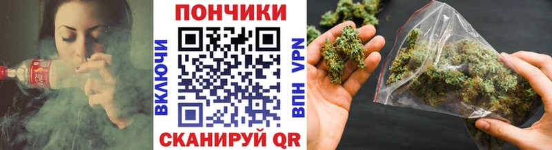 Шишки марихуана SATIVA & INDICA  Купить закладки  Волхов 